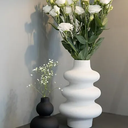 Greyhouse Corfu στο κέντρο τις κέρκυρας Daire